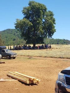 Trawun, terreno de la familia Catrillanca situado en Temucuicui. Crédito: Pablo Basadre.