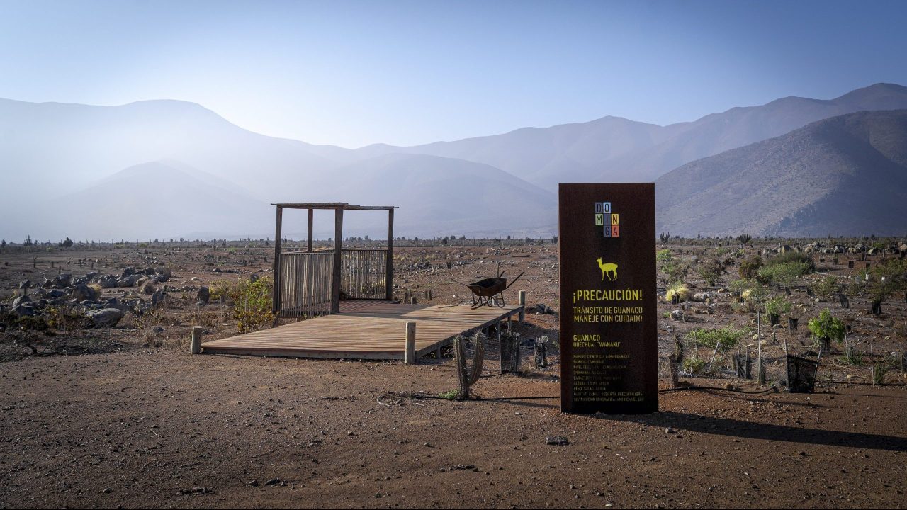 Qué falta para que Dominga inicie su construcción (y el portazo al Gobierno)