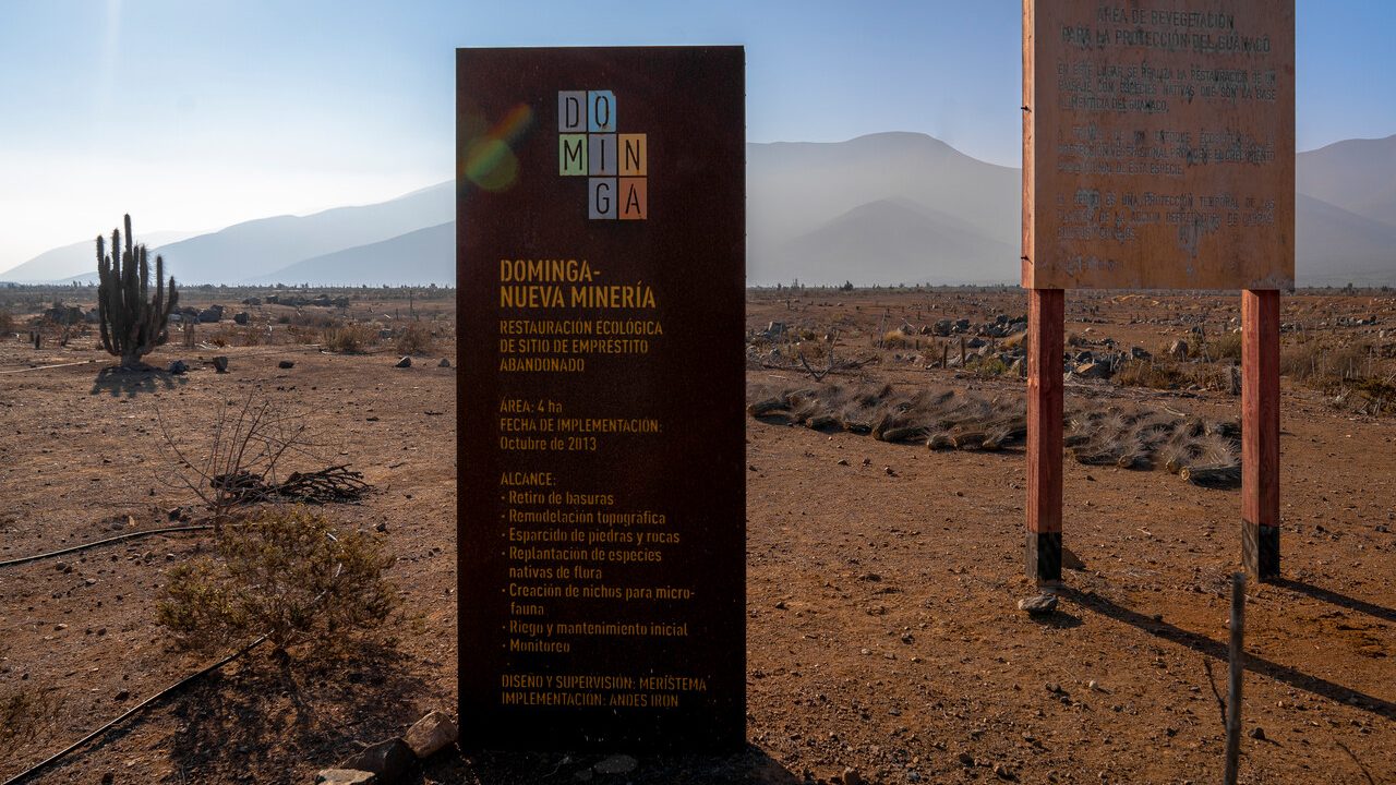 Dominga: Qué hay detrás de la orden del Tribunal Ambiental en contra del Comité de Ministros (y la ofensiva de la empresa)