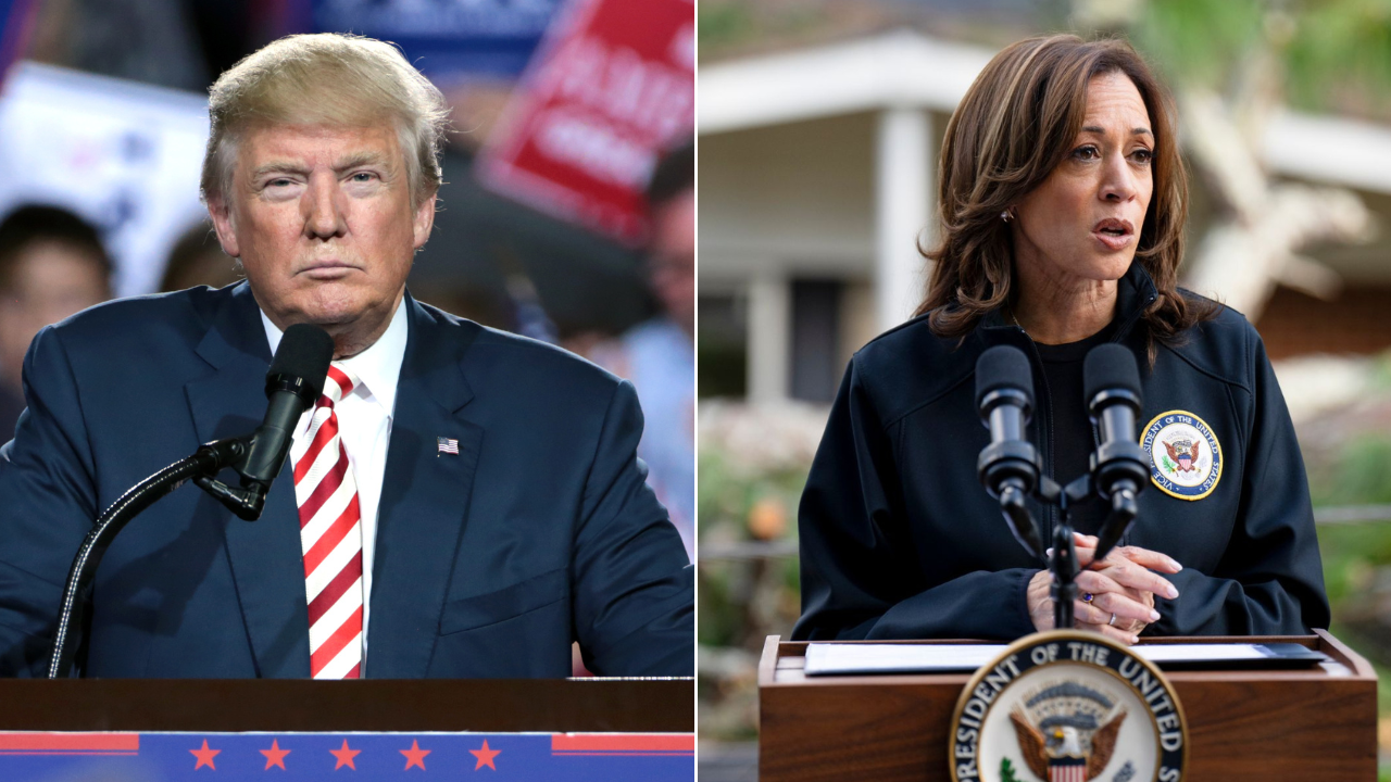 Cambio de tendencia: Casas de apuesta ahora dan a Trump con favoritismo para ganar en reñida elección