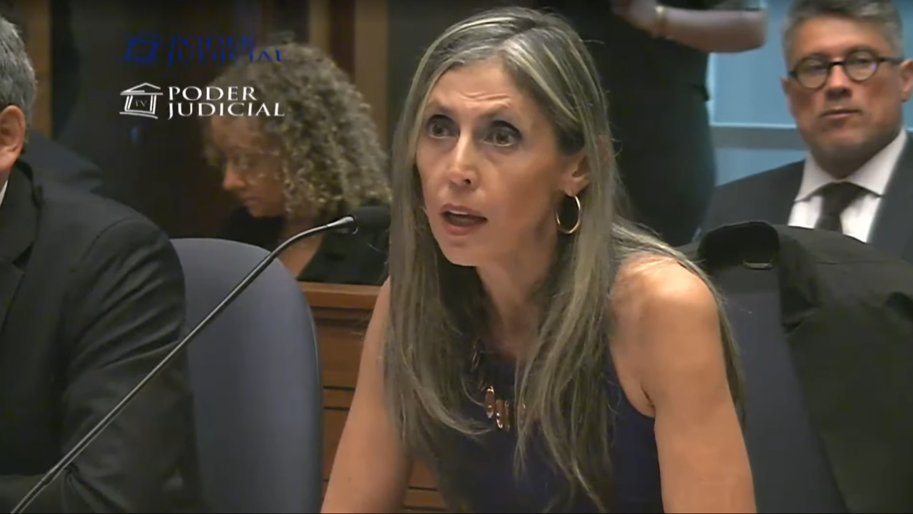 María Elena Santibáñez, la defensora de la denunciante de Monsalve y su intento de hacer pública la audiencia