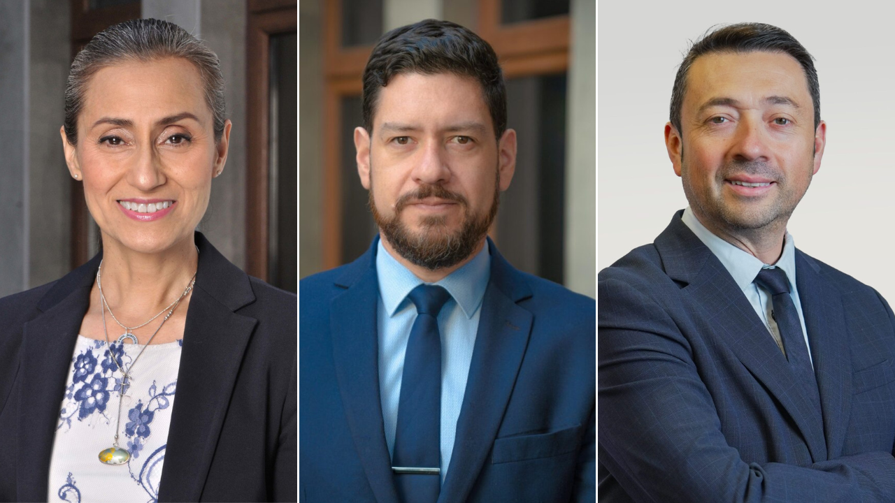 Quiénes son los jueces tras el duro fallo que revivió Dominga y fustigó al Comité de Ministros