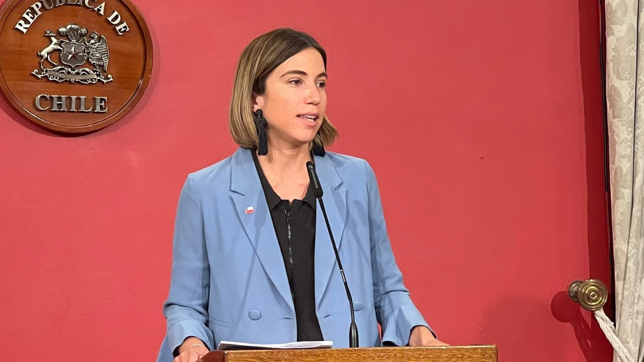 Quién es y qué piensa la encargada del programa laboral de Evelyn Matthei