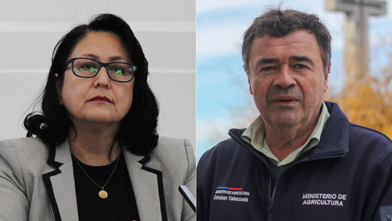 Incendios: Contraloría cuestiona selección de jefaturas de Conaf sin concurso y sin mitigar conflictos de interés