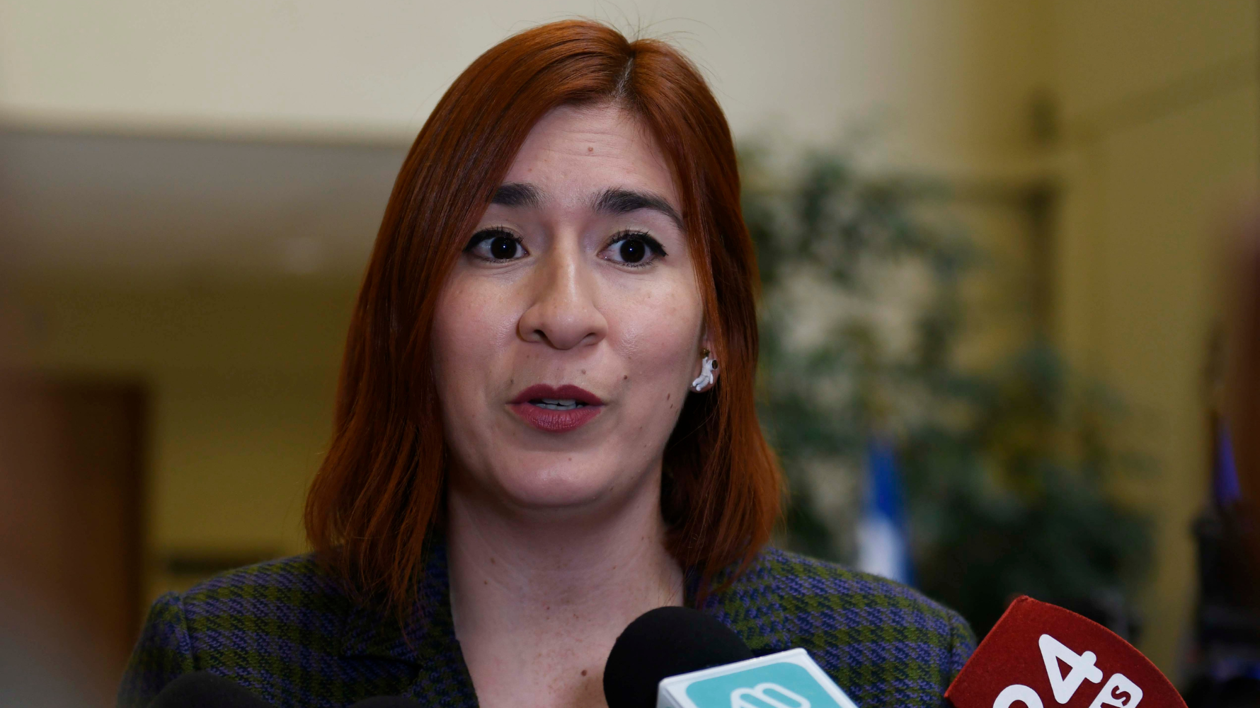 “Todo se lo consultaban e informaban”: Los detalles de la querella del CDE contra Catalina Pérez por Democracia Viva