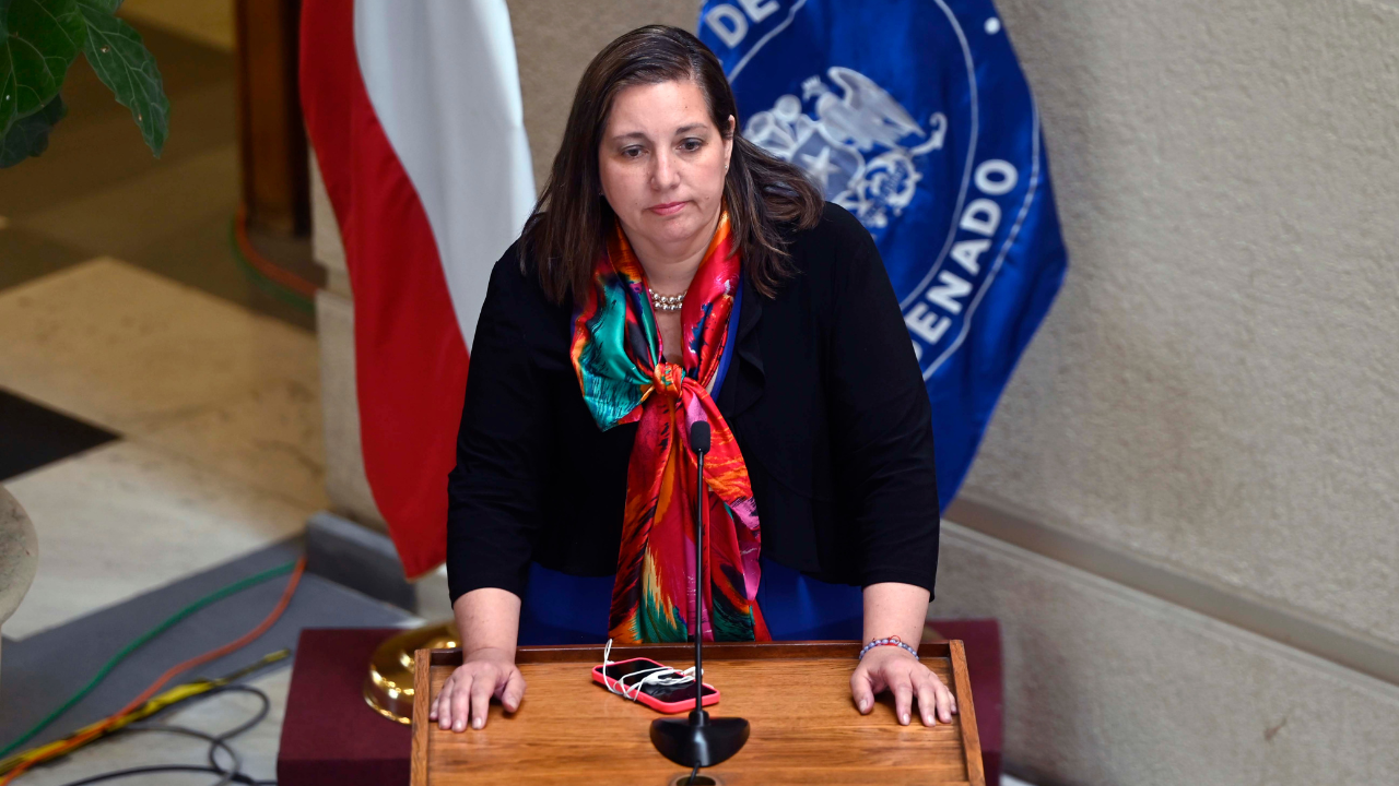 La caída de Vodanovic tiene un debate de fondo. Por Ignacio Imas