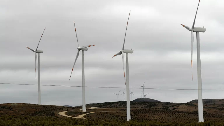 Parque-eolico-768x432.png