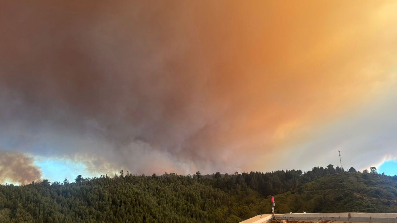 Incendio Foresta, Penco.