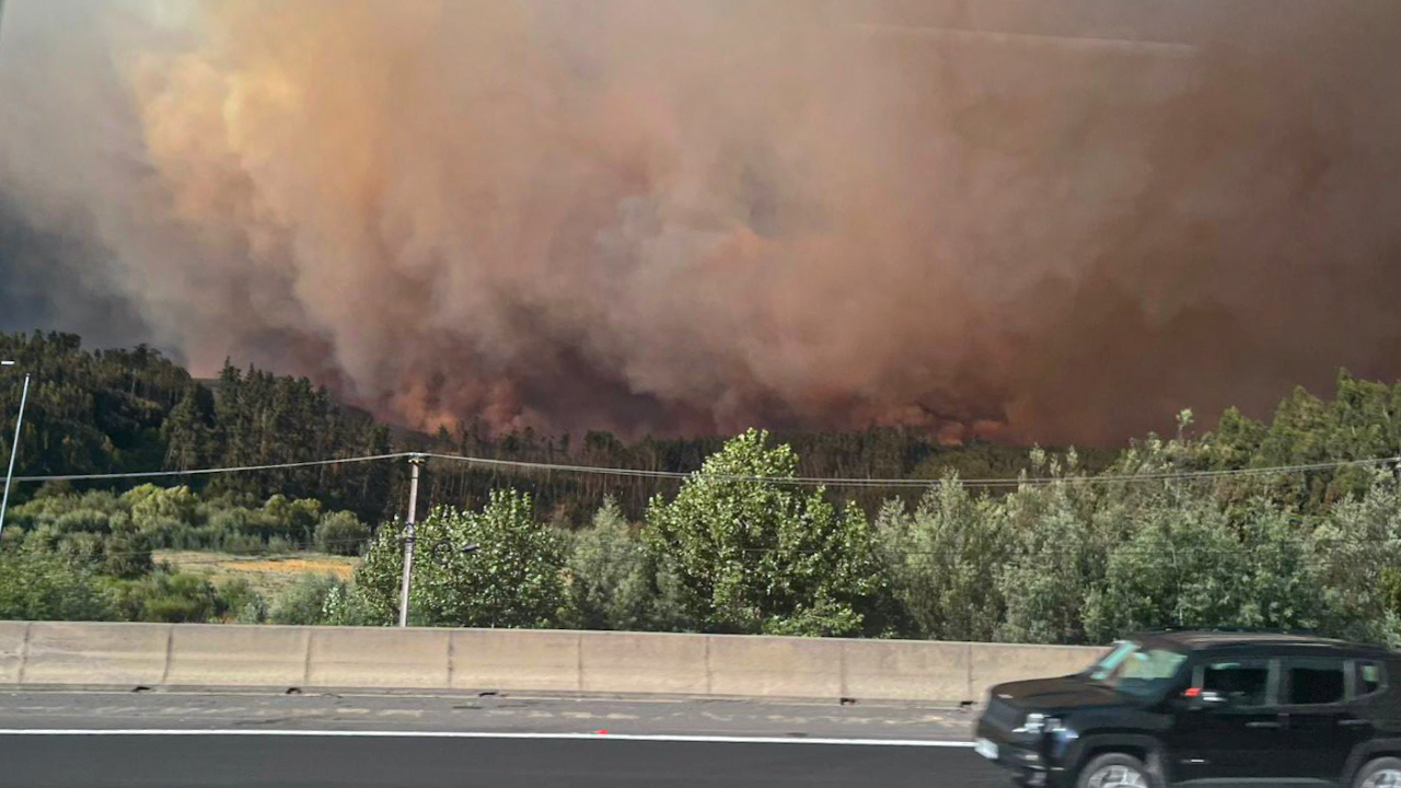 Concepción: Incendio forestal Trinitarias