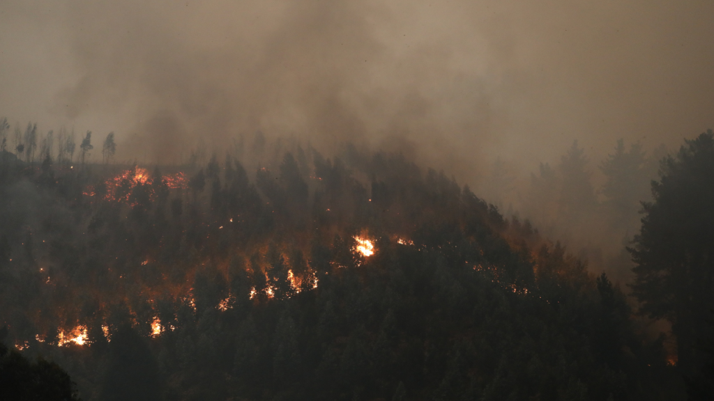 Incendio en Lirquen, comuna de Penco.