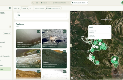 ARAUCO pone a disposición pública datos de biodiversidad a través de Lemu-Atlas