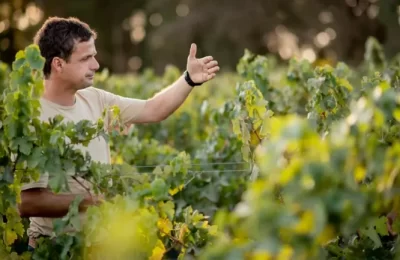 Aurelio Montes y alza de arancel de Trump al vino chileno: “Existe decepción, porque se esperaba un trato distinto”