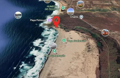 Relocalización de sapo de cuatro ojos: Las exigencias a proyecto de desaladora en exclusivo sector de Salinas de Pullally
